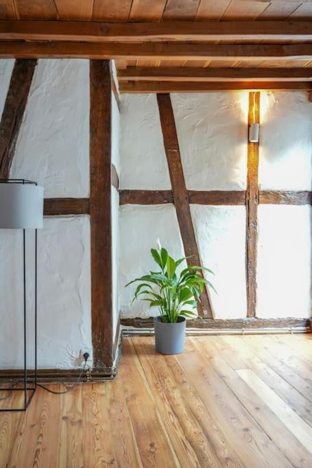Charmante Fachwerk Wohnung Mit Terrasse In Der Altstadt كوبلنس المظهر الخارجي الصورة